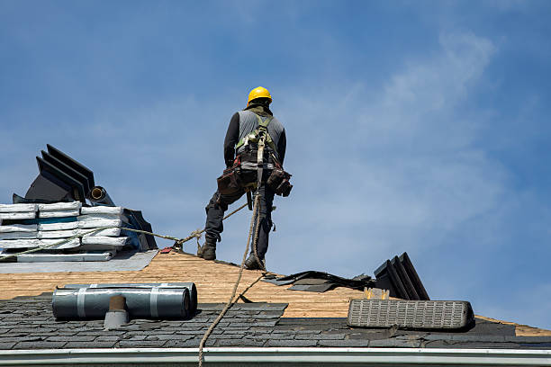 Professional Storm Damage Roof Repair technician working in Hampton, FL